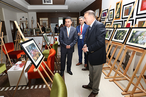 Denizli’ye özgü iki bitki türü tehlike altında