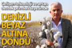 Denizli “beyaz altın” pamuğa döndü