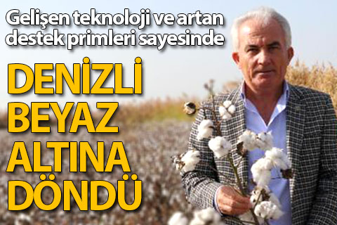 Denizli “beyaz altın” pamuğa döndü