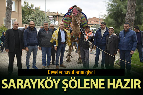 Develer havutlarını giydi, Sarayköy şölene hazır