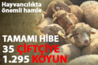 35 genç çiftçiye 1.295 küçükbaş hayvan dağıtıldı