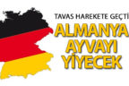 Tavas harekete geçti, Almanya ayvayı yiyecek