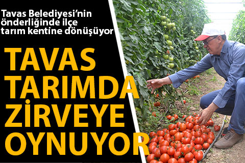 Tavas tarımda zirveye oynuyor