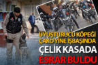 Uyuşturucu köpeği Çako çelik kasada esrar buldu