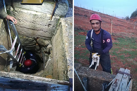 İtfaiyenin kedi seferberliği