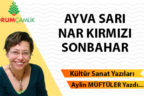 AYVA SARI, NAR KIRMIZI SONBAHAR