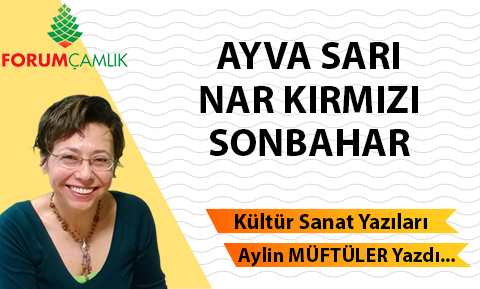 AYVA SARI, NAR KIRMIZI SONBAHAR