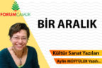 BİR ARALIK