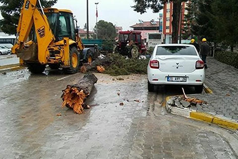 Acıpayam’da fırtına etkili oldu. Ağaç otomobilin üzerine düştü