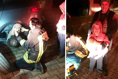 Yavru köpeği lastiği sökerek kurtardılar
