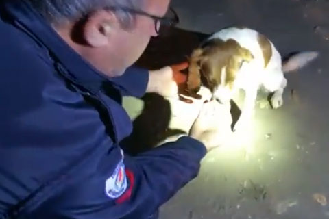 Hayatını kurtaran itfaiyeciye öyle bir teşekkür etti ki