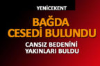 Haber alınamayan yaşlı adamın cesedi bağda bulundu