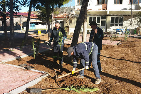 Başkan Akyol Tavas’ta ağaçlandırma seferberliği başlattı