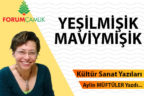 YEŞİLMİŞİK, MAVİYMİŞİK