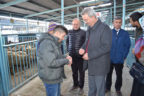 Genç çiftçilere hayvan desteği tamamlandı
