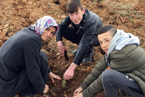 BAKLAN’DA 1500 FİDAN TOPRAKLA BULUŞTU
