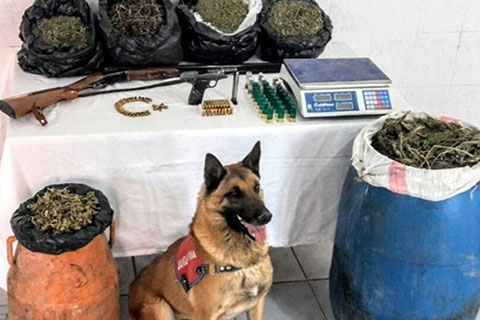 Buldan’da 20 kilogram esrarla yakalanan zanlı tutuklandı