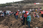 Sarayköy yeniden yeşeriyor