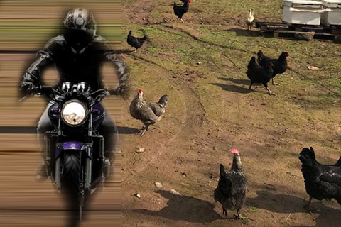 Servergazi’de kasklı motosikletli hırsız kümeslere dadandı