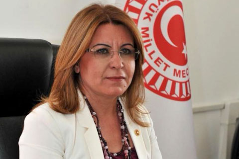 Karaca: “Saray aşkına doğa katlediliyor”