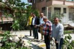 CHP’den ağaç katliamına sert tepki