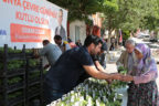 Büyükşehir’den 40 bin fesleğen