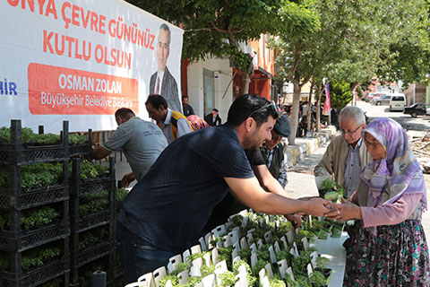 Büyükşehir’den 40 bin fesleğen
