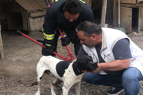 Köpeğin yardımına itfaiye koştu