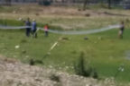Güpegündüz kaçak av yaptılar