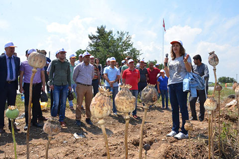 Çivril’de tarla günü