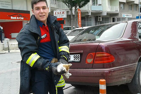 İtfaiyeden kedi operasyonu