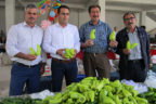 Tescilli Kale biberi hasadı başladı