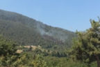 ORMANLIK ALANDA ÇIKAN YANGINA MÜDAHALE EDİLDİ