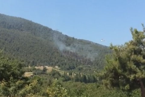 ORMANLIK ALANDA ÇIKAN YANGINA MÜDAHALE EDİLDİ