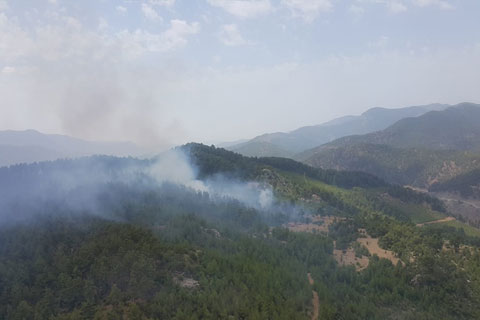 ACIPAYAM’DA ORMAN YANGINI