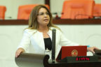 Karaca: “Botanik bahçesinin yok edilmesine izin vermeyeceğiz”