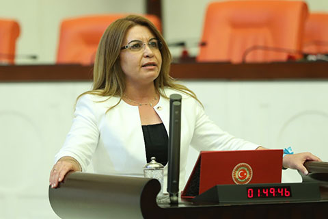 Karaca: “Botanik bahçesinin yok edilmesine izin vermeyeceğiz”