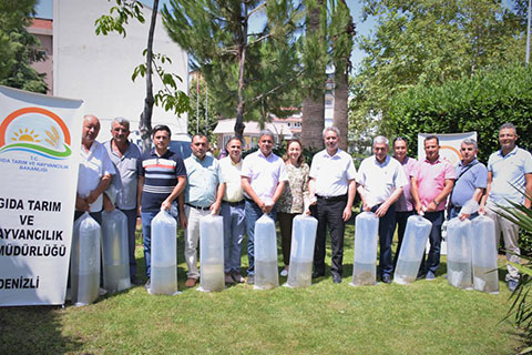 DENİZLİ GÖLLERİNE SAZAN SALIMI