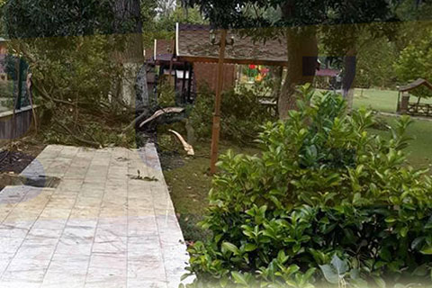 ÇAL’DA FIRTINA AĞAÇLARI DEVİRDİ