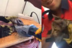 BORUYA SIKIŞAN KEDİYİ İTFAİYE KURTARDI