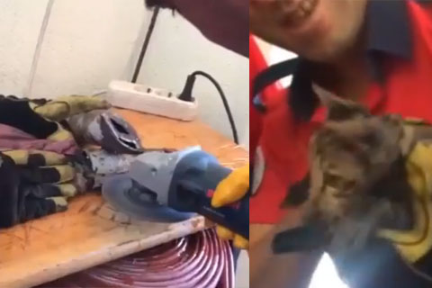 BORUYA SIKIŞAN KEDİYİ İTFAİYE KURTARDI