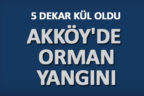 AKKÖY’DE ORMAN YANGINI