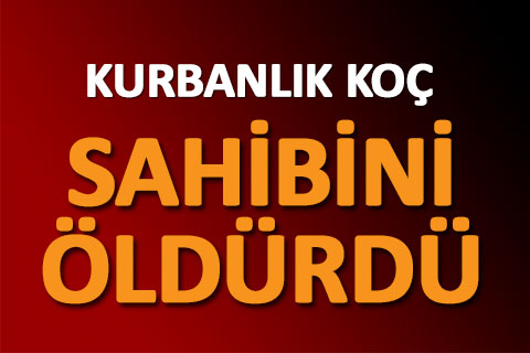 KURBANLIK KOÇ SAHİBİNİ ÖLDÜRDÜ