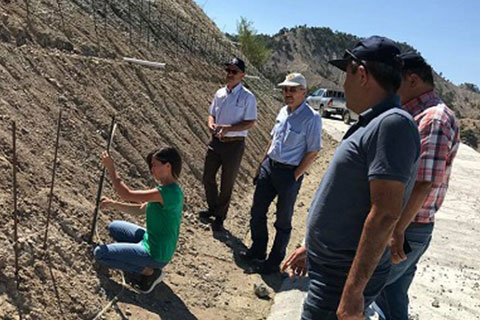 Acıpayam’da yol kenarları ağaçlandırılıyor