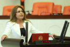 KARACA YERİNİ KORUDU