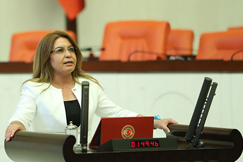 Kent Ormanı Projesi TBMM gündeminde