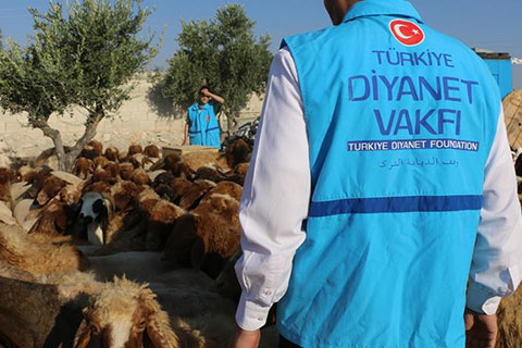Diyanet’ten vekaletle kurban kesme hizmeti