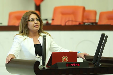 CHP’li Karaca Menderes için Meclis araştırması istedi