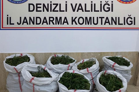 Honaz’da büyük uyuşturucu operasyonu: Tam 102 kilogram