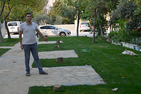 Karaman’da ağaç katliamı iddiası
